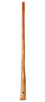 Wix Stix Didgeridoo (WS141)